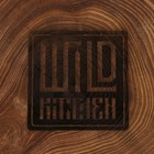 Доска разделочная из спила Wild Kitchen, d=160-200 мм, толщина 30 мм, цельный массив кедра - Фото 16