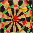 Дартс с магнитным полотном ONLYTOP, 45×38 см, мишени диаметром 29 и 34 см, 6 дротиков, уценка - Фото 7