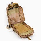 Рюкзак тактический "Аdventure", 26л, камуфляж ящерица, водонепроницаемый - фото 7193018