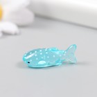 Фигурка для флорариума полистоун "Маленькая пятнистая акула" 2,7х1,1 см (комплект 5 шт) - фото 25276381