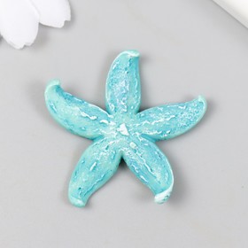 Фигурка для флорариума полистоун 'Толстая голубая морская звезда' 4,2х4,5 см