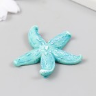 Фигурка для флорариума полистоун "Толстая голубая морская звезда" 4,2х4,5 см (комплект 3 шт) - фото 22422790