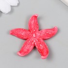 Фигурка для флорариума полистоун "Толстая розовая морская звезда" 4,2х4,5 см - фото 10719250