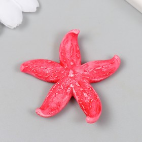 Фигурка для флорариума полистоун 'Толстая розовая морская звезда' 4,2х4,5 см