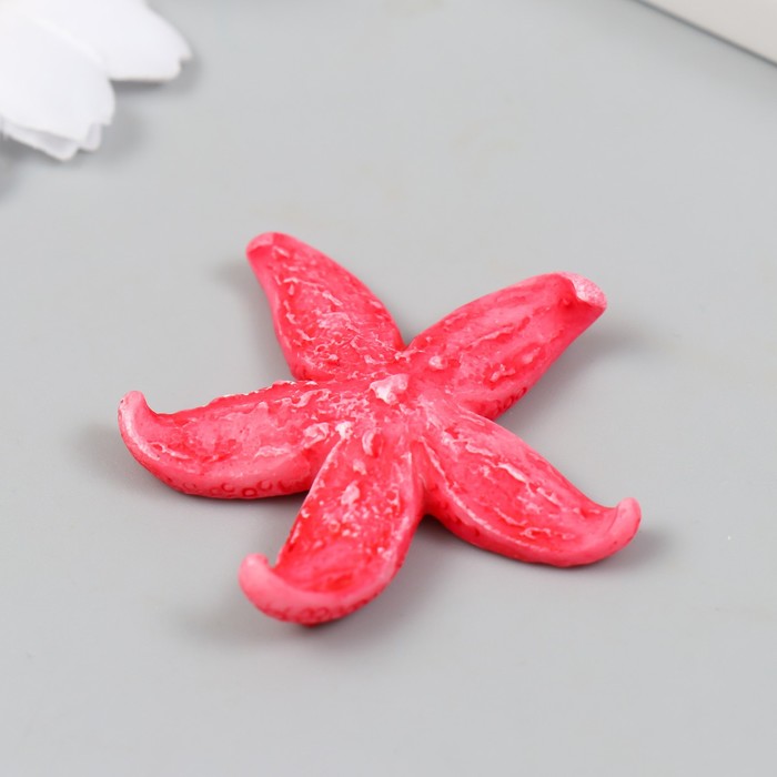 Фигурка для флорариума полистоун "Толстая розовая морская звезда" 4,2х4,5 см - фото 1891635028