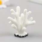 Фигурка для флорариума полистоун "Монтипора пальчиковая" белая 4,7х4,5 см - фото 10719265