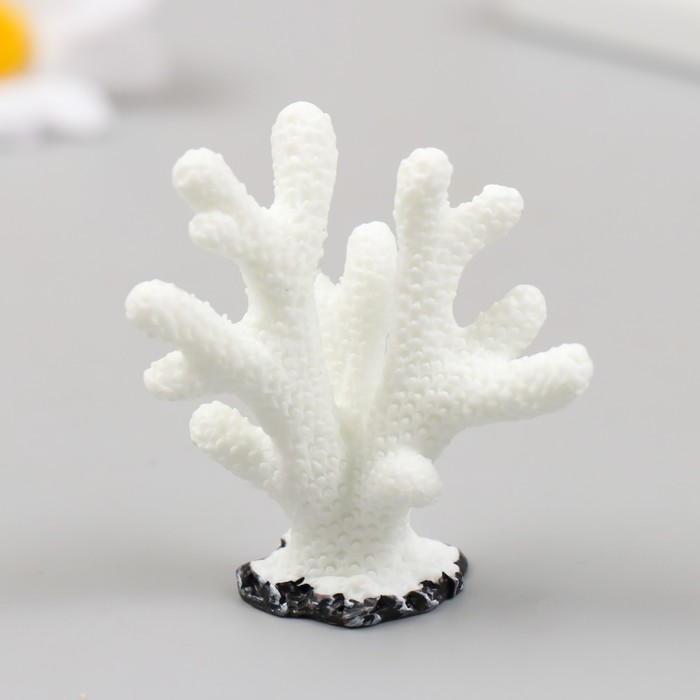 Фигурка для флорариума полистоун "Монтипора пальчиковая" белая 4,7х4,5 см - Фото 1