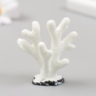 Фигурка для флорариума полистоун "Монтипора пальчиковая" белая 4,7х4,5 см - Фото 3