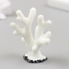 Фигурка для флорариума полистоун "Монтипора пальчиковая" белая 4,7х4,5 см - фото 9509976
