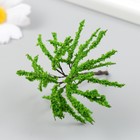 Искусственное растение для творчества пластик "Ива" 3х6 см - фото 7031923