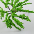 Искусственное растение для творчества пластик "Ива" 3х6 см - фото 7031924