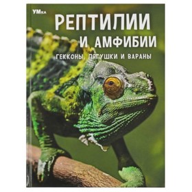 Рептилии и амфибии. Гекконы, лягушки и вараны