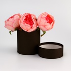 Шляпная коробка, тубус, чёрная, 10×10 см - Фото 4