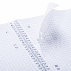 Сменный блок для тетрадей на 4-х кольцах А5, 80 листов в клетку, индивидуальная упаковка - Фото 2