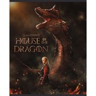 Тетрадь 48 листов в клетку "Дом дракона", обложка мелованный картон, скругленные углы, МИКС - фото 24292399