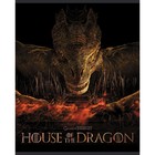 Тетрадь 48 листов в клетку "Дом дракона", обложка мелованный картон, скругленные углы, МИКС - фото 24292400