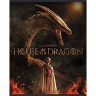 Тетрадь 48 листов в клетку "Дом дракона", обложка мелованный картон, скругленные углы, МИКС - фото 24292401