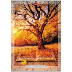 Тетрадь А4, 80 листов, клетка, "Книга странствий", обложка мелованный картон, блок 65г/м2