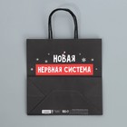 Пакет подарочный новогодний крафтовый «Нервы», 22 х 22 х 11 см, Новый год - Фото 8