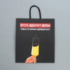 Пакет подарочный крафтовый «Шампанское», 28 × 32 × 15 см - фото 10034159