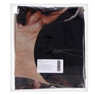 Букет из шаров «С ДР, душнила», пёсик, латекс, фольга, набор 7 шт. - фото 25904602