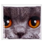 Набор воздушных шаров «HB to you», котик, латекс, фольга, 7 шт. - фото 22508398