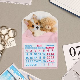 Календарь отрывной на магните "Щенок с плюшевым мишкой" 2024 год, вырубка, 9,5х15 см