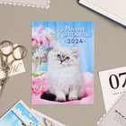 Календарь отрывной на магните "Милые котята" 2024 год, 9,4х13 см - фото 10769462