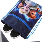 Мешок для обуви с карманом 420*350 мм, Холодное сердце (мягкий полиэстер, плотность 210D) - фото 24679618