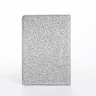 Обложка на паспорт, цвет серебряный (комплект 2 шт) - фото 24427616