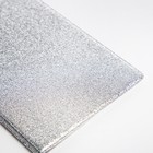 Обложка на паспорт, цвет серебряный (комплект 2 шт) - фото 24427618