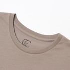 Футболка мужская, цвет коричневый, размер 54 (3XL) - Фото 3