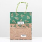 Пакет подарочный «Гармония во всём» 18 х 22,3 х 10 см - фото 25520630