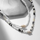 Чокер «Аква» с ракушками, бело-чёрный, 34 см - фото 319761337