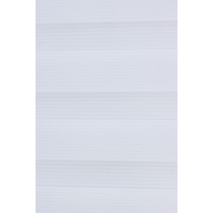 Штора рулонная «День-ночь» с люрексом, 90×180 см (с учётом креплений 3,5 см), цвет белый