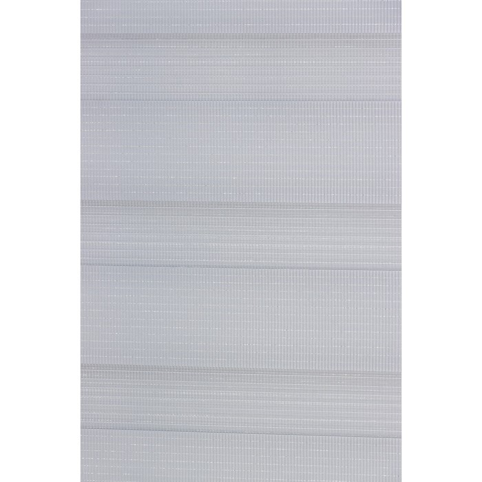 Штора рулонная «День-ночь» с люрексом, 60×180 см (с учётом креплений 3,5 см), цвет серый