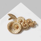 Брошь «Змея» извилистая, цвет светло-коричневый в золоте - фото 319761358