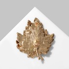 Брошь «Листья» романтичная осень, цветная в золоте - фото 22509851 Брошь «Листья» романтичная осень, цветная в золоте - фото 22509851