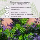 Декоративная панель, 60 × 40 см, «Фиолетовые листы», Greengo - Фото 11