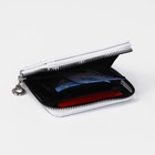 Кошелёк на молнии, отдел для карт, для монет, цвет белый 9684007 - фото 16369002