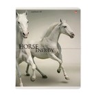 Тетрадь 48 листов в клетку "Лошади", обложка мелованный картон, УФ-лак, блок 60 г/м2, МИКС - фото 22568324