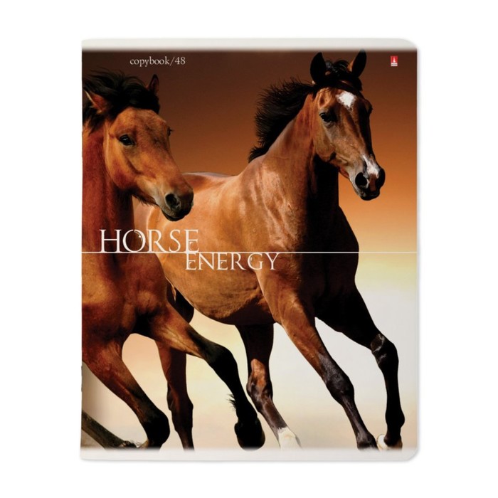Обложка лошади. Обложка лошадь. Тетрадь общая с лошадью на обложке. Конь - обложка коричневая. Тетрадь 48 листов лошади.
