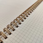 Тетрадь А6 60 листов в клетку на гребне "Сон", обложка картон, твёрдая подложка, soft touch, тиснение фольгой, блок 70 г/м2 - фото 24568112