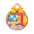 Медаль "1 Сентября. День знаний!" салют, 11х9,0 см - фото 319761894
