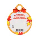 Медаль "1 Сентября" глиттер, сова, 11х9,0 см (комплект 20 шт) - фото 24252803