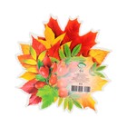 Украшение на скотче "Осенний букет" шиповник, 26х26 см (комплект 10 шт) - фото 25276482