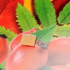 Украшение на скотче "Осенний букет" шиповник, 26х26 см (комплект 10 шт) - фото 25276483