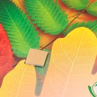 Украшение на скотче "Осенний букет" лист дуба, 26х26 см (комплект 10 шт) - фото 25276486