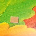 Украшение на скотче "Осенний букет" жёлуди, 26х26 см (комплект 10 шт) - фото 25276492