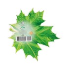 Украшение на скотче "Кленовый лист" зелёный, 18х18 см (комплект 10 шт) - фото 25276494